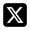 x icon